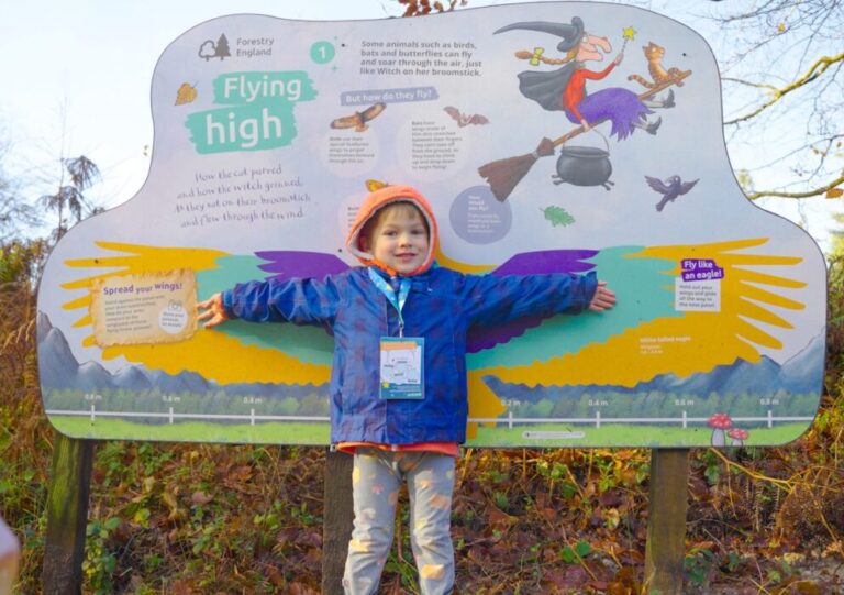 Westonbirt has launched a new Room on the Broom trail with activities for children, celebrating the book’s 25th anniversary