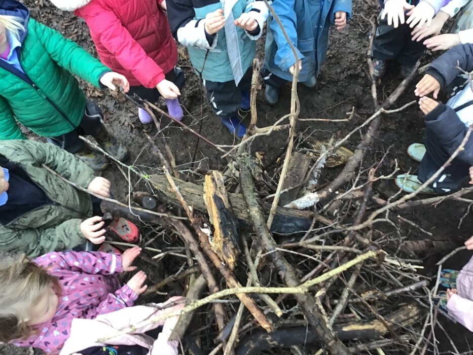 Roundhill Primary in Bath launches new Forest School partnership, giving all 217 pupils outdoor learning, confidence and wellbeing benefits.