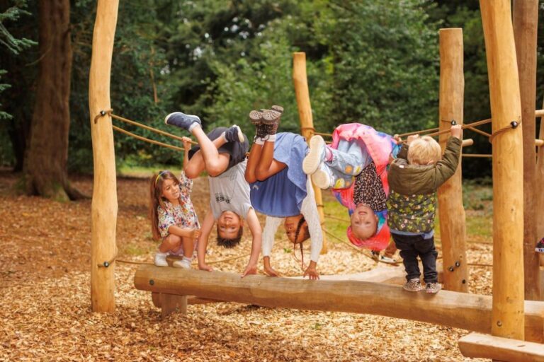 Discover family-friendly half-term activities at Westonbirt, from the Room on the Broom trail to play areas and woodland walks.