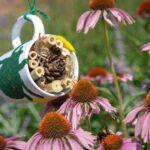 Wiltshire Scrapstore is giving away free environmental project boxes to help families get creative with recycled materials and learn about nature.