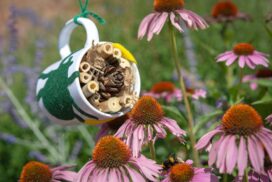 Wiltshire Scrapstore is giving away free environmental project boxes to help families get creative with recycled materials and learn about nature.