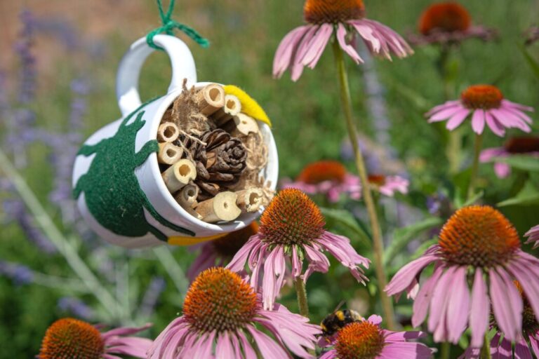 Wiltshire Scrapstore is giving away free environmental project boxes to help families get creative with recycled materials and learn about nature.