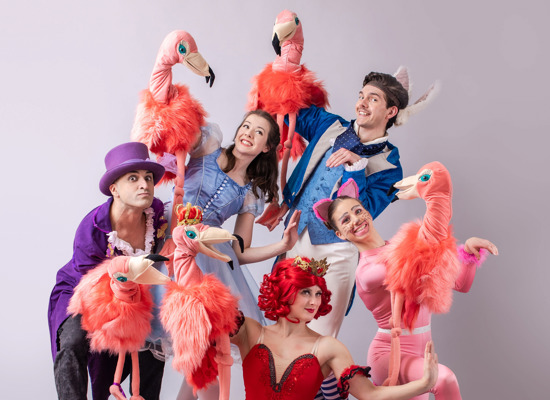 Alice group flamingos 2022 katie hutch bend and snap edited