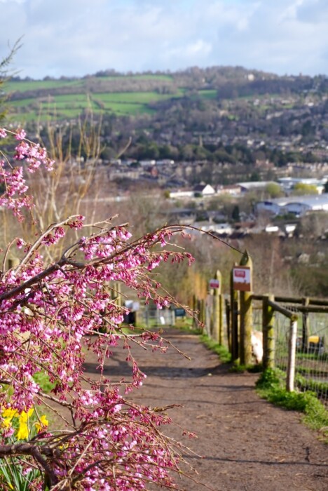 Bath City Farm hosts its free Spring Fayre on 28 March with animals, nature walks, workshops, food and family activities.