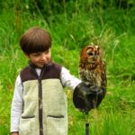 Discover The Bird of Prey Project in Wiltshire, where families can meet owls and hawks, try bird-flying experiences and join special wildlife events for children.