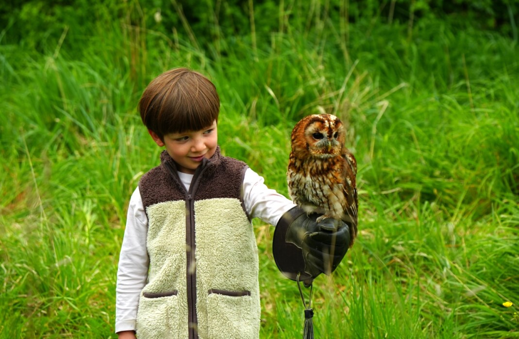 Discover The Bird of Prey Project in Wiltshire, where families can meet owls and hawks, try bird-flying experiences and join special wildlife events for children.