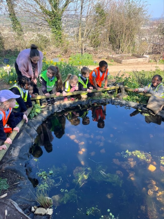 Reception pupils from Roundhill Primary school enjoyed a hands-on visit to Bath City Farm, meeting animals and bringing their frog life cycle learning to life.