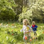 Thousands of tulips, art, walks and family activities return to Dyrham Park near Bath this April and May for its biggest and best ‘tulip mania’ yet.