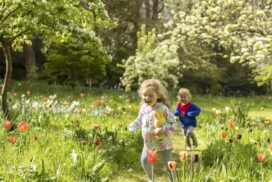 Thousands of tulips, art, walks and family activities return to Dyrham Park near Bath this April and May for its biggest and best ‘tulip mania’ yet.