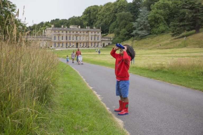 Families can enjoy the new Pokémon TCG Mega Evolution Trail at Dyrham Park this May half term with outdoor challenges, play and family fun.
