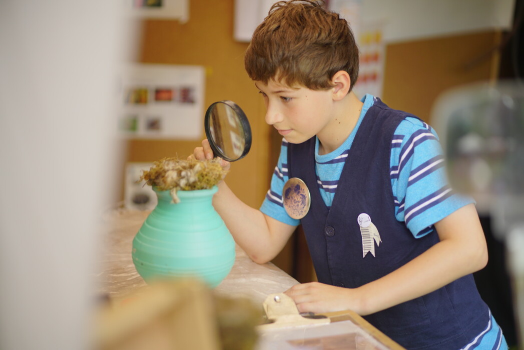 Forest of Imagination returns to Entry Hill, Bath from 13–21 June 2026 with free family workshops, installations and outdoor arts activities.