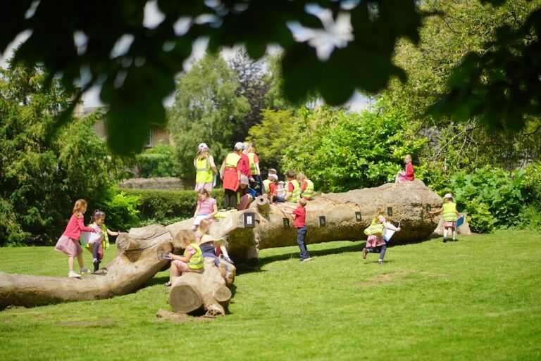 Forest of Imagination returns to Entry Hill, Bath from 13–21 June 2026 with free family workshops, installations and outdoor arts activities.