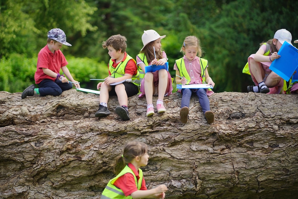 Forest of Imagination returns to Entry Hill, Bath from 13–21 June 2026 with free family workshops, installations and outdoor arts activities.