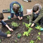 St John’s Catholic Primary School in Bath has earned the CAFOD LiveSimply Award, recognising pupils’ efforts in sustainability, charity and global citizenship.