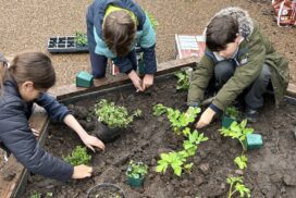 St John’s Catholic Primary School in Bath has earned the CAFOD LiveSimply Award, recognising pupils’ efforts in sustainability, charity and global citizenship.