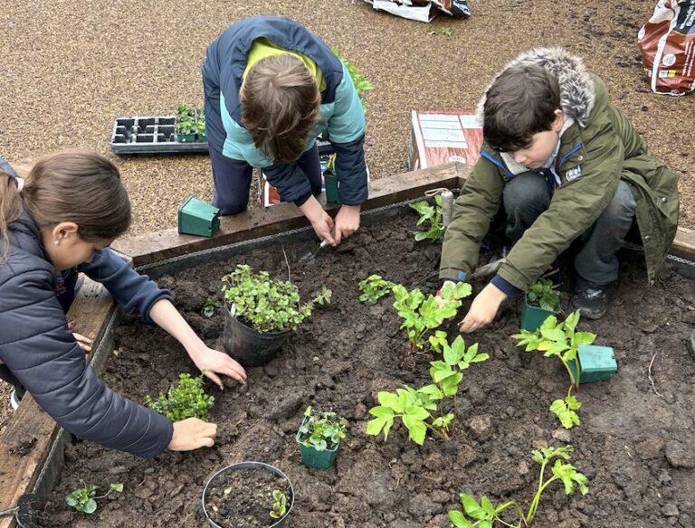 St John’s Catholic Primary School in Bath has earned the CAFOD LiveSimply Award, recognising pupils’ efforts in sustainability, charity and global citizenship.