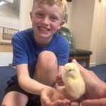 Pupils at St Benedict’s Catholic Primary School in Midsomer Norton watched chicks hatch live in class, bringing learning to life through a magical hands-on experience.