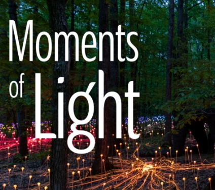 Immersive Light Installation at Dorothy House Hospice