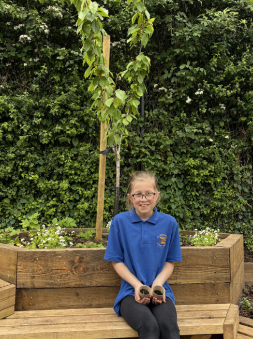 St John’s Catholic Primary School in Bath has earned the CAFOD LiveSimply Award, recognising pupils’ efforts in sustainability, charity and global citizenship.