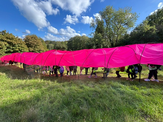 Forest of Imagination returns to Entry Hill, Bath from 13–21 June 2026 with free family workshops, installations and outdoor arts activities.