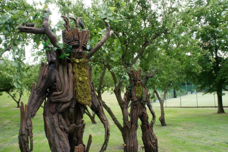 Festival of Nature returns to Bath from 6-14 June with tree stilt walkers, free tree saplings, family activities and more than 180 free events across the region.