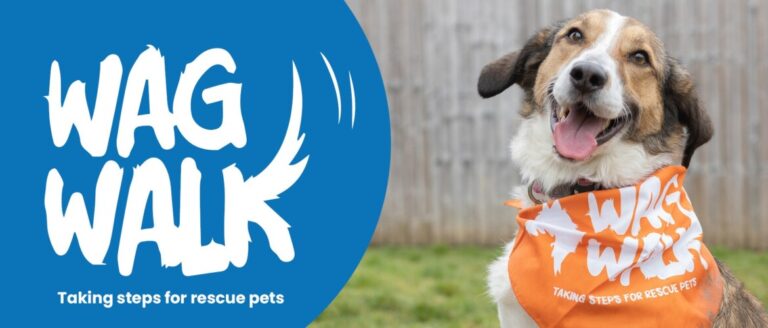 Wag Walk image