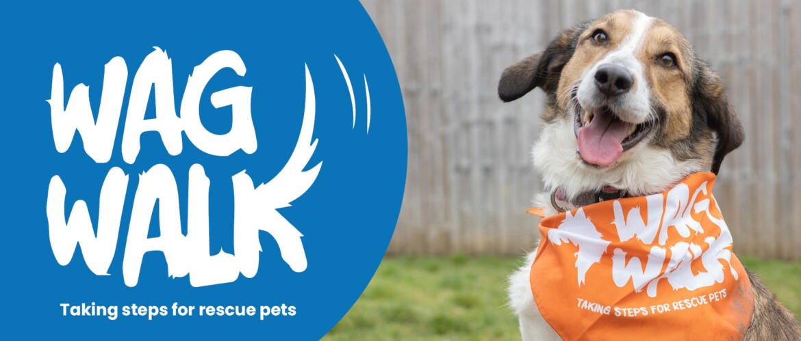 Wag Walk image