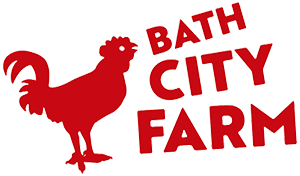 BCF logo