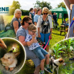Ferne Animal Sanctuary near Chard is hosting a family-friendly Summer Fun Day fundraiser on Sunday 19 July, with countryside games, a treasure hunt, raffle, café and axe throwing.