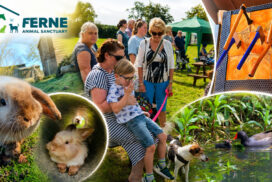 Ferne Animal Sanctuary near Chard is hosting a family-friendly Summer Fun Day fundraiser on Sunday 19 July, with countryside games, a treasure hunt, raffle, café and axe throwing.