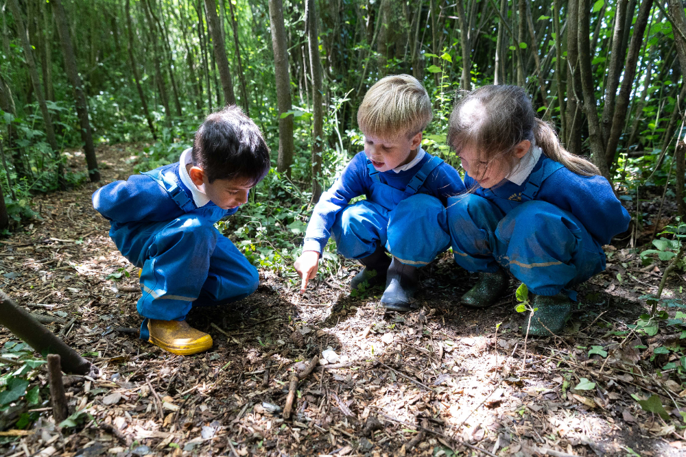 Great Bedwyn CofE Primary School is celebrating a highly positive SIAMS report, praising its Christian vision, ambitious curriculum, kindness and community links.