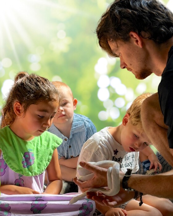 Children at Guinea Lane Nursery in Bath enjoyed a hands-on ZooLab visit, meeting animals including a snail, tarantula, millipede and snake.