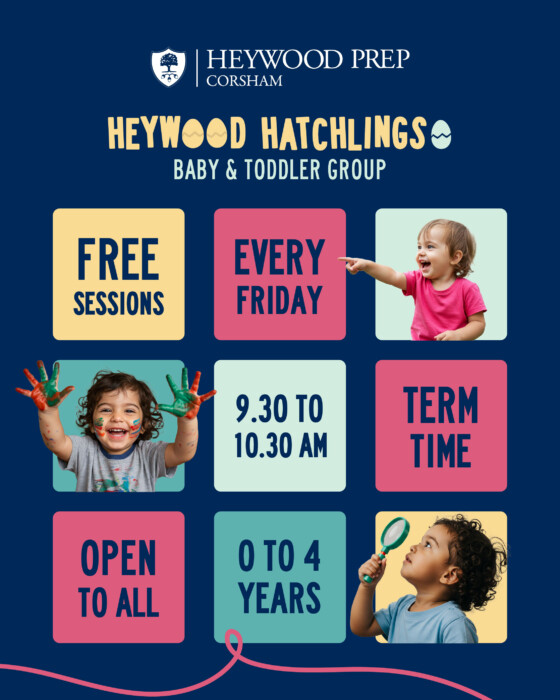 Insta Heywood Hatchlings 01 (1)