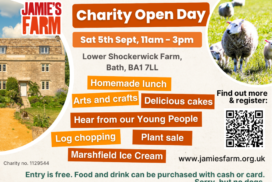 LS Open Day Local Look advert (134mm x 96mm)