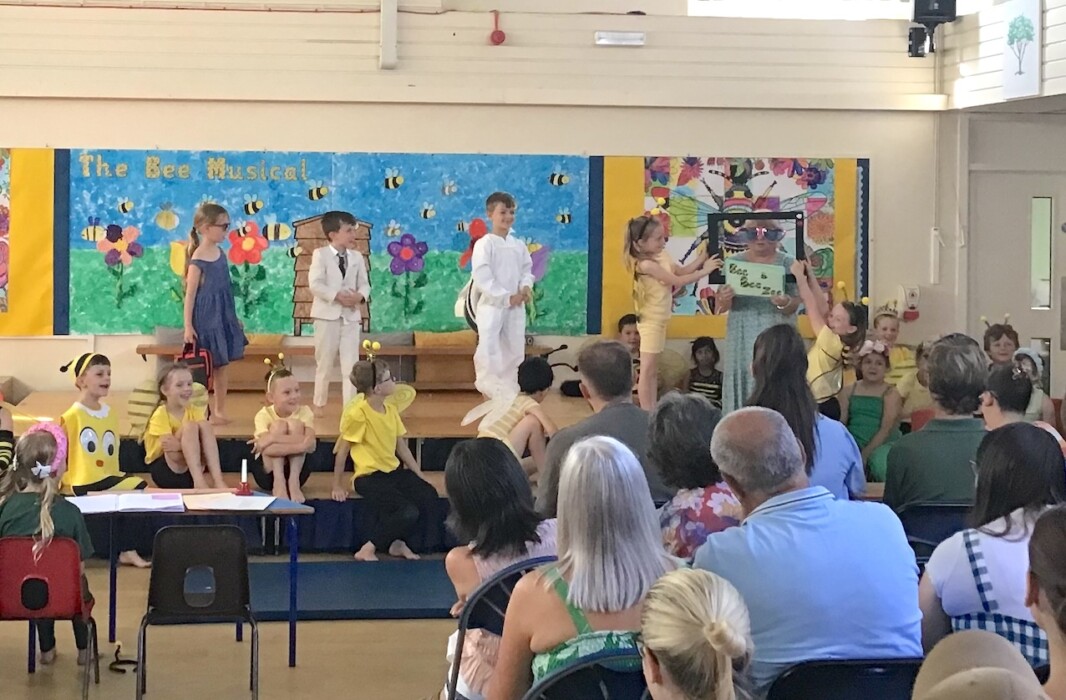 Year 2 pupils at Paulton Infant School wowed family and friends with The Bee Musical as they celebrated the end of their time at the school.