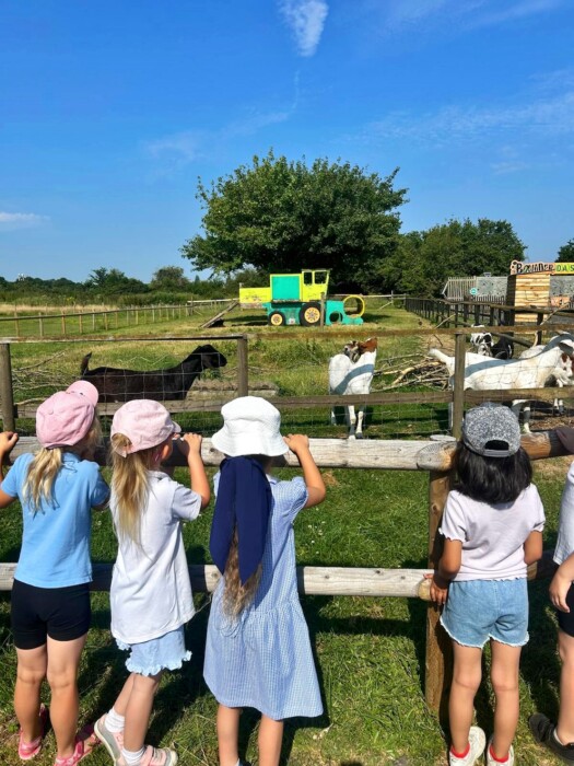 Roundhill Primary School and Nursery pupils enjoyed their first-ever whole-school celebration trip to Avon Valley Adventure Park, bringing children of all ages together.