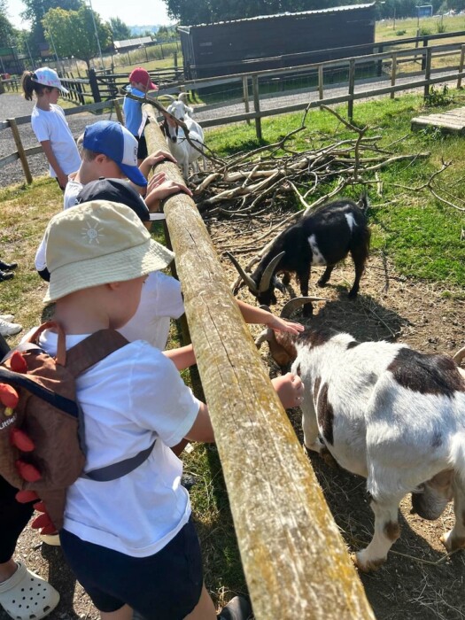 Roundhill Primary School and Nursery pupils enjoyed their first-ever whole-school celebration trip to Avon Valley Adventure Park, bringing children of all ages together.