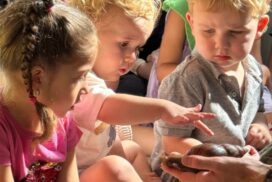Children at Guinea Lane Nursery in Bath enjoyed a hands-on ZooLab visit, meeting animals including a snail, tarantula, millipede and snake.
