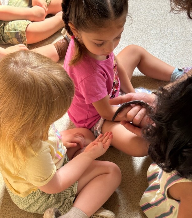 Children at Guinea Lane Nursery in Bath enjoyed a hands-on ZooLab visit, meeting animals including a snail, tarantula, millipede and snake.