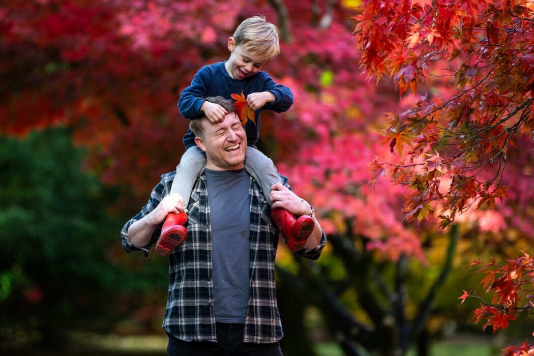 Discover spectacular autumn colour at Westonbirt Arboretum, with maple trails, half-term family activities, Room on the Broom and free seasonal events.