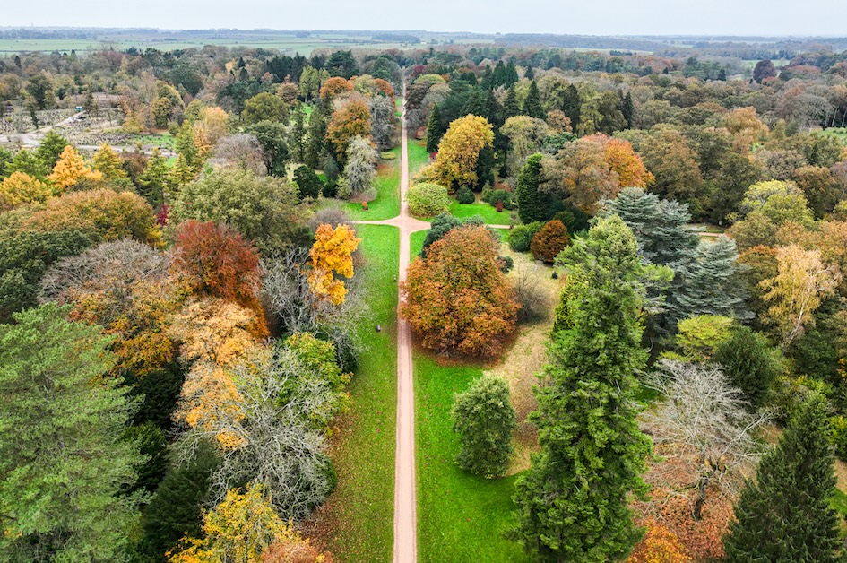 Discover spectacular autumn colour at Westonbirt Arboretum, with maple trails, half-term family activities, Room on the Broom and free seasonal events.