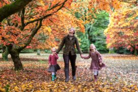 Discover spectacular autumn colour at Westonbirt Arboretum, with maple trails, half-term family activities, Room on the Broom and free seasonal events.