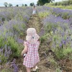 Jonny Courtaux of Courtaux Wealth Planning looks at Junior ISAs, pensions, trusts and savings accounts that can help families build a nest egg for their children.