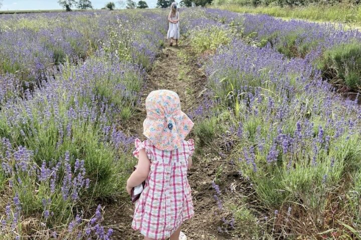 Jonny Courtaux of Courtaux Wealth Planning looks at Junior ISAs, pensions, trusts and savings accounts that can help families build a nest egg for their children.
