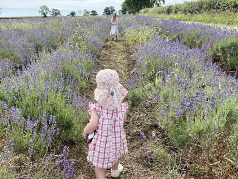 Jonny Courtaux of Courtaux Wealth Planning looks at Junior ISAs, pensions, trusts and savings accounts that can help families build a nest egg for their children.
