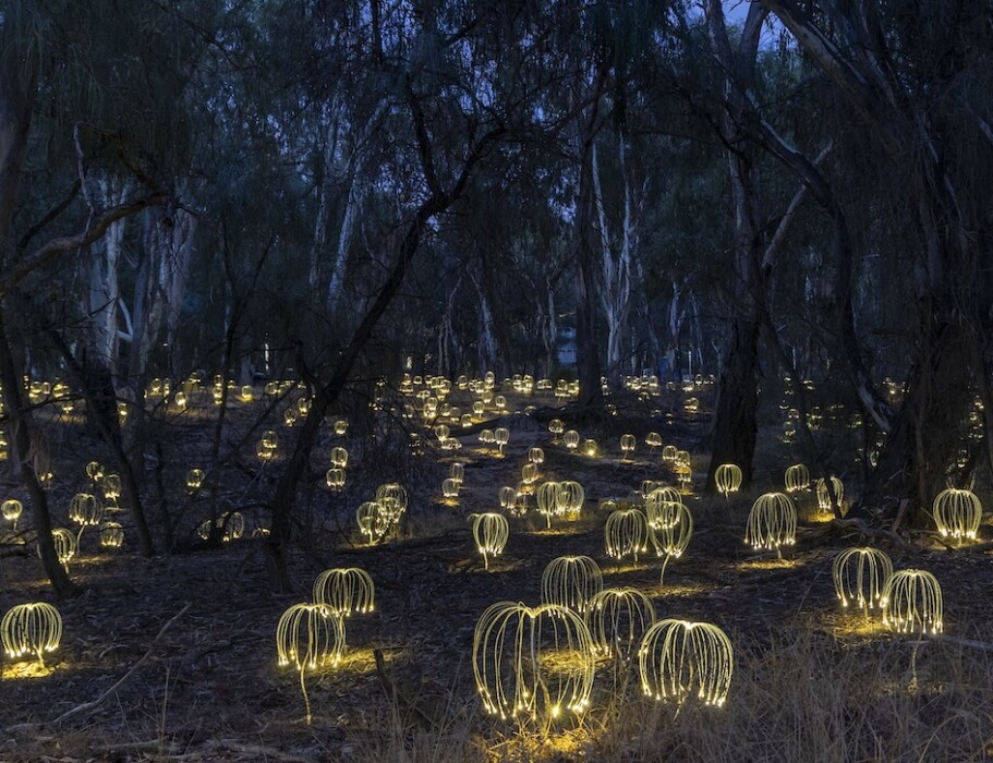 Dorothy House will mark its 50th anniversary with Moments of Light, a free immersive installation by internationally renowned artist Bruce Munro.
