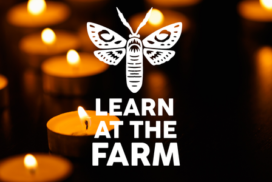 Event description image 161343 1784298704 277cd
