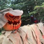 A new Halloween after-dark experience is coming to the American Museum & Gardens in Bath, with illuminated gardens, candlelit rooms and family fun.