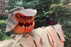A new Halloween after-dark experience is coming to the American Museum & Gardens in Bath, with illuminated gardens, candlelit rooms and family fun.