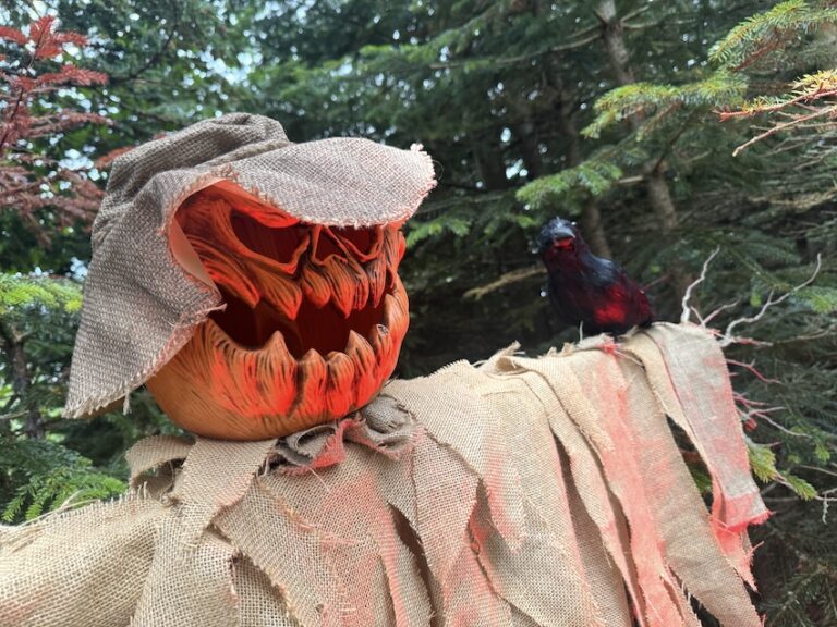 A new Halloween after-dark experience is coming to the American Museum & Gardens in Bath, with illuminated gardens, candlelit rooms and family fun.